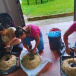 437680b8-2cfd-4585-bced-ecb9f9020864